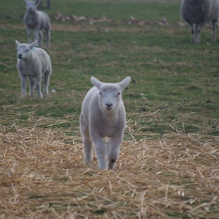 Woodhouse Farm Lodge Spalding Luaran gambar