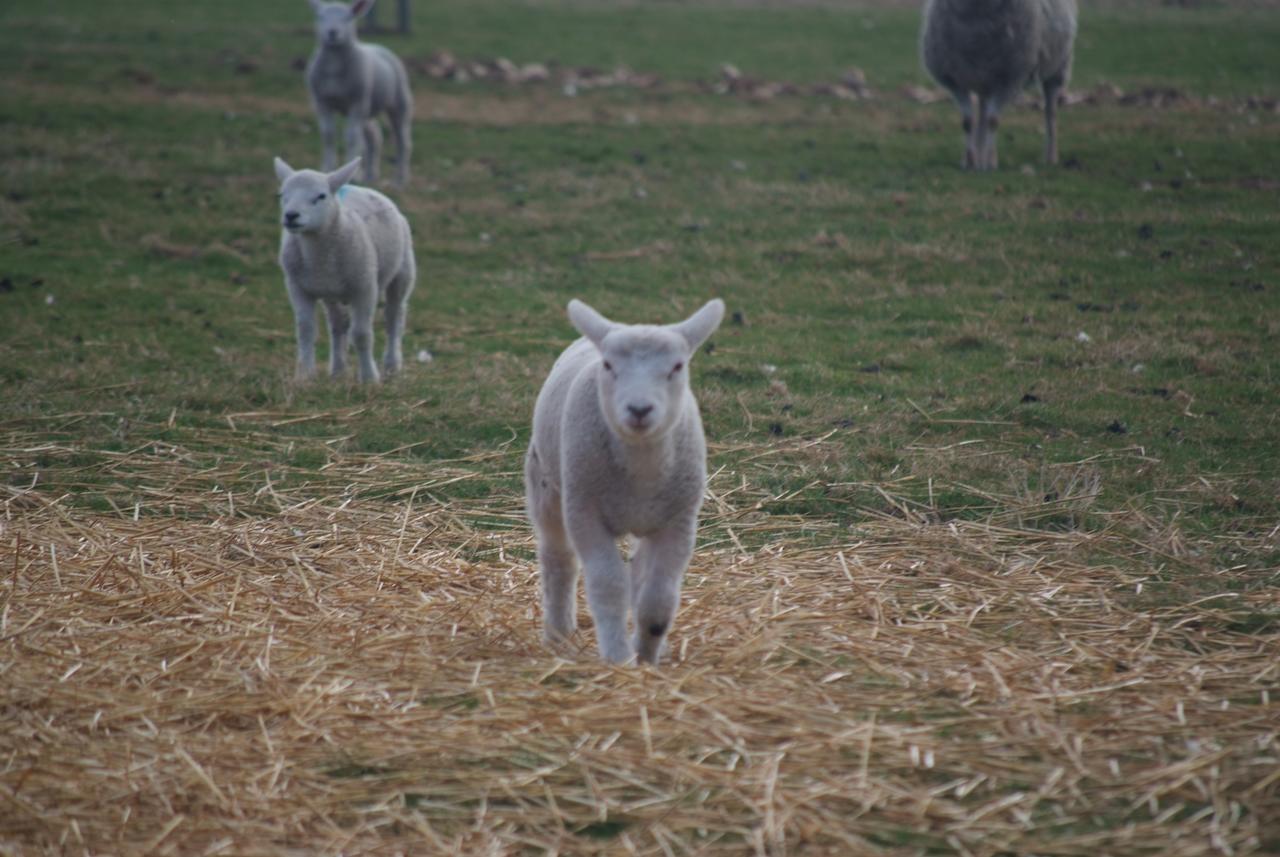 Woodhouse Farm Lodge Spalding Luaran gambar